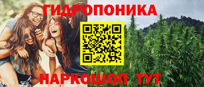Альфа ПВП Славянск-на-Кубани